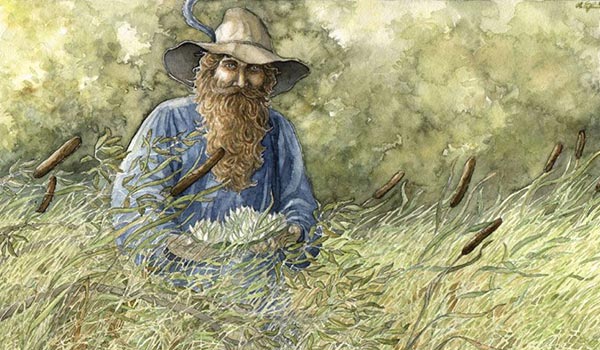 watercolor painting of Tom Bombadil from The Fellowship of the Ring