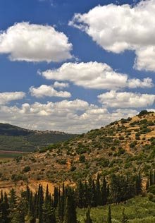 the hills of galilee